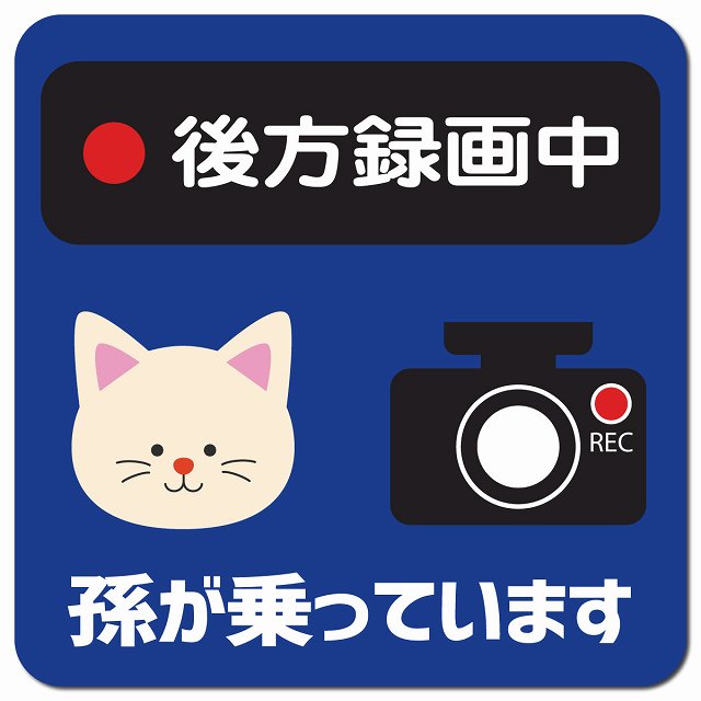 孫が乗っています 後方録画中 ねこ ネイビー 車用 マグネット 13x13cm 正方形