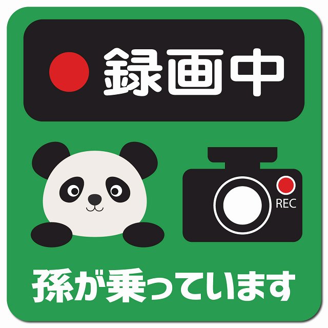 孫が乗っています 録画中 ぱんだ グリーン 車用 マグネット 13x13cm 正方形