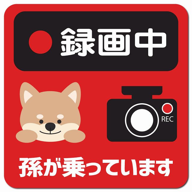 孫が乗っています 録画中 いぬ レッド 車用 マグネット 13x13cm 正方形