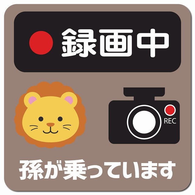 孫が乗っています 録画中 らいおん グレーベージュ 車用 マグネット 13x13cm 正方形