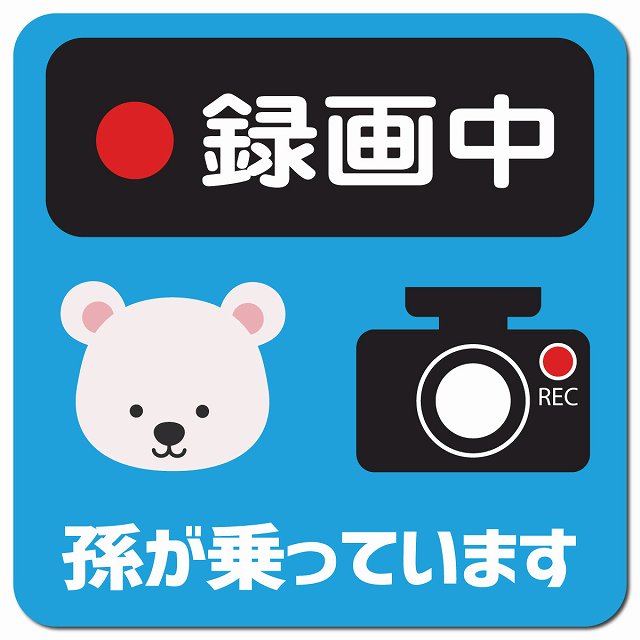 孫が乗っています 録画中 しろくま ライトブルー 車用 マグネット 13x13cm 正方形