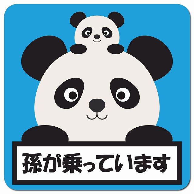 孫が乗っています 祖父母と孫 ぱんだ ライトブルー 車用 マグネット 13x13cm 正方形