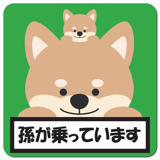 孫が乗っています 祖父母と孫 いぬ グリーン 車用 マグネット 13x13cm 正方形
