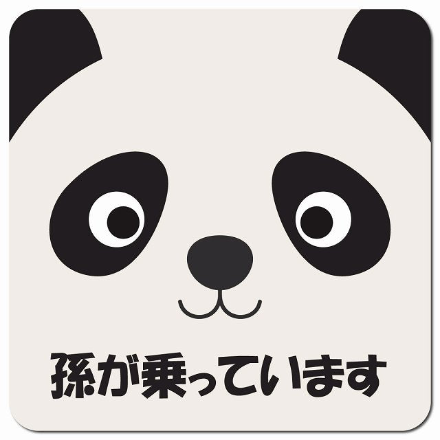 孫が乗っています おでこ ぱんだ 車用 マグネット 13x13cm 正方形