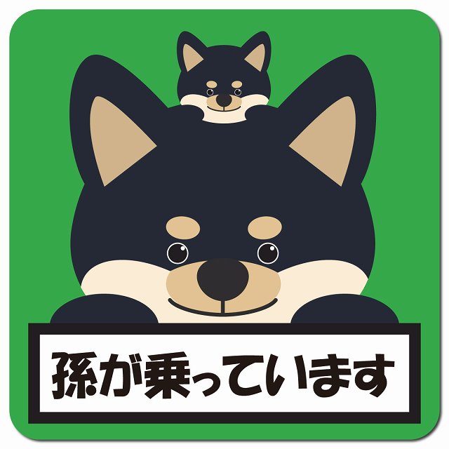 孫が乗っています 祖父母と孫 黒柴 グリーン 車用 マグネット 13x13cm 正方形