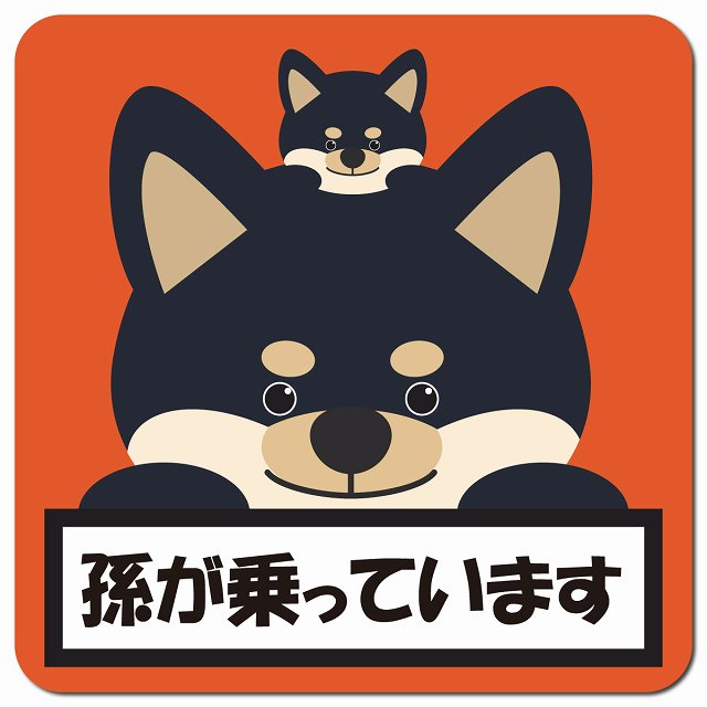 孫が乗っています 祖父母と孫 黒柴 オレンジ 車用 マグネット 13x13cm 正方形