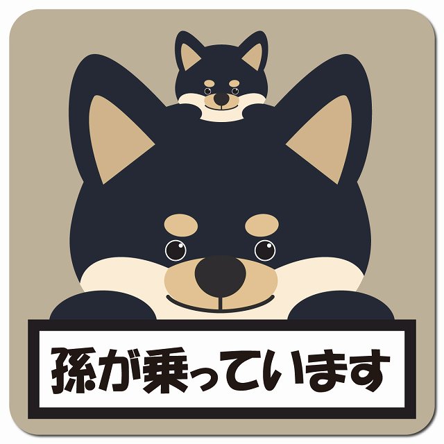 孫が乗っています 祖父母と孫 黒柴 グレーベージュ 車用 マグネット 13x13cm 正方形