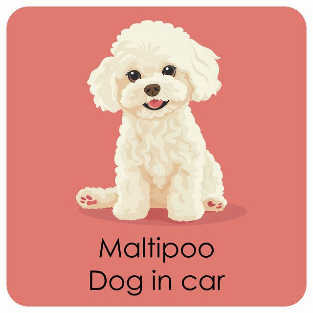 Maltipoo マルプー DOG IN CAR パステル くすみカラー スタイル アニメ風 ステッカー 13x13cm 正方形