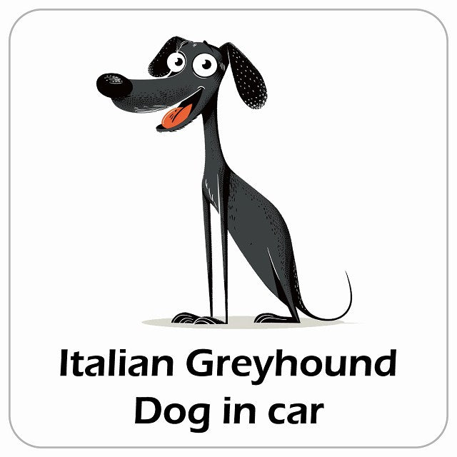 Italian Greyhound イタリアングレーハウンド DOG IN CAR アメリカン カートゥーン スタイル アニメ風 ステッカー 13x13cm 正方形