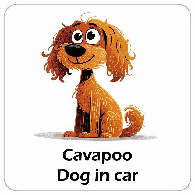 Cavapoo キャバプー DOG IN CAR アメリカン カートゥーン スタイル アニメ風 ステッカー 13x13cm 正方形