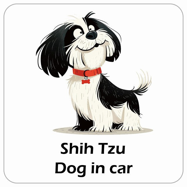 Shih Tzu シーズー DOG IN CAR アメリカン カートゥーン スタイル アニメ風 ステッカー 13x13cm 正方形