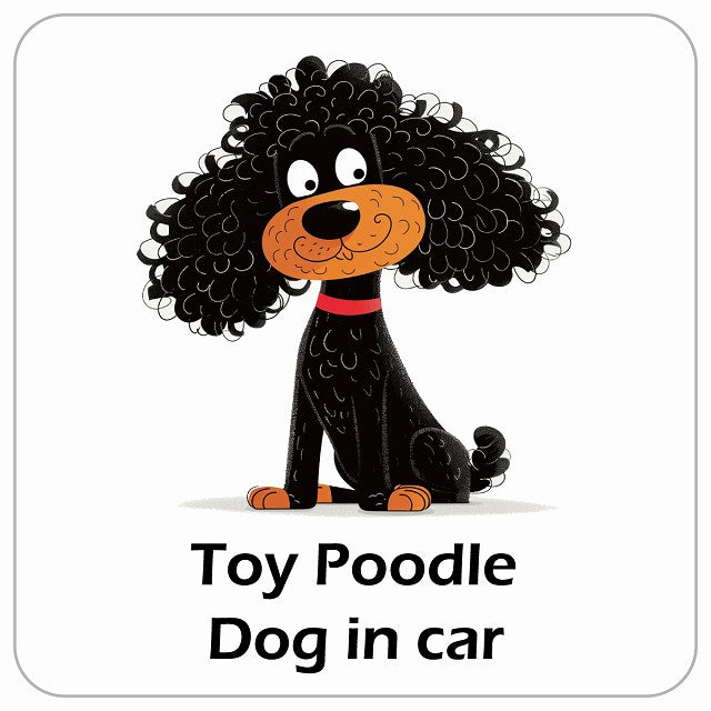 Toy Poodle トイプードル DOG IN CAR アメリカン カートゥーン スタイル アニメ風 ステッカー 13x13cm 正方形