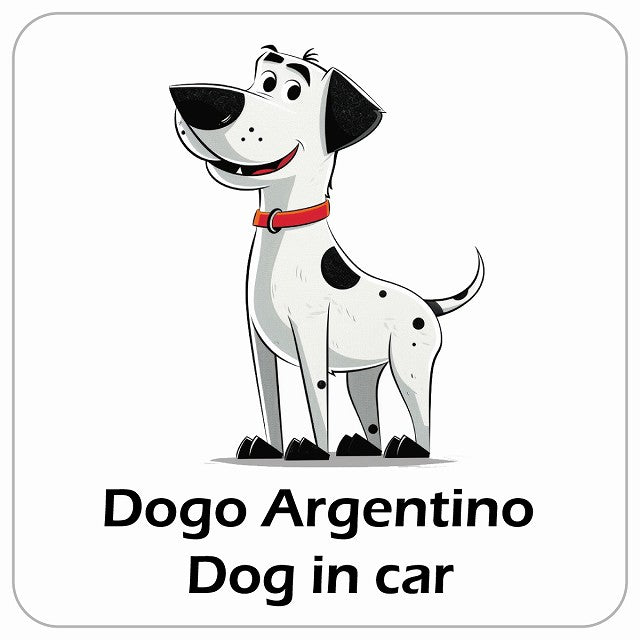 Dogo Argentino ドゴアルヘンティーノ DOG IN CAR アメリカン カートゥーン スタイル アニメ風 ステッカー 13x13cm 正方形