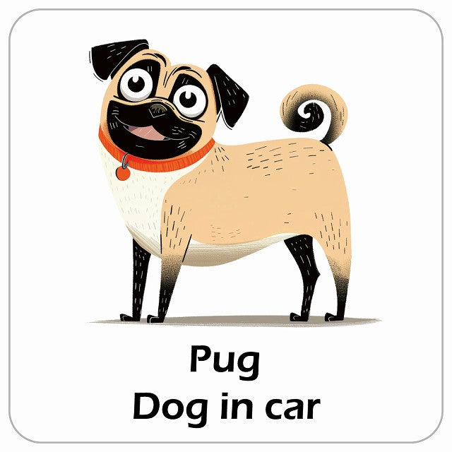 Pug パグ DOG IN CAR アメリカン カートゥーン スタイル アニメ風 ステッカー 13x13cm 正方形