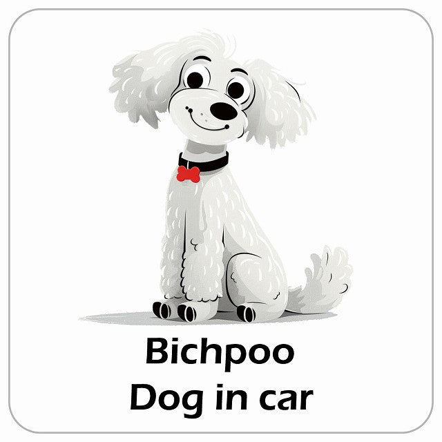 Bichpoo ビションプー DOG IN CAR アメリカン カートゥーン スタイル アニメ風 ステッカー 13x13cm 正方形
