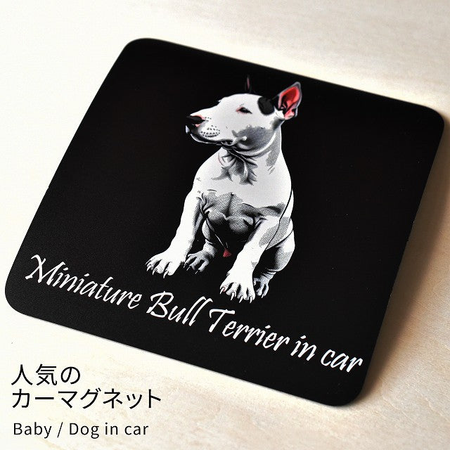 Dog in Car イラスト付 ミニチュアブルテリア Aタイプ 車用 マグネット 13x13cm 正方形 カーマグネット 表示プレート