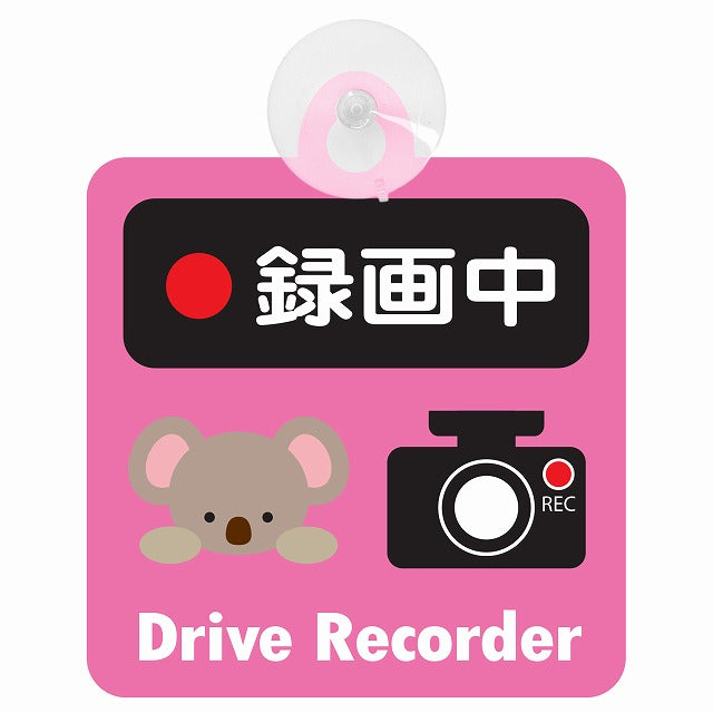 アニマル こあら 録画中 Drive Recorder ドライブレコーダー 車用吸盤付サイン 12.4x14.6cm 表示プレート