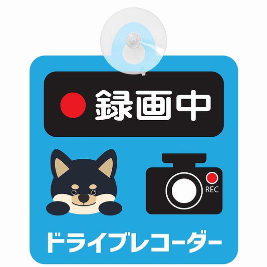 黒柴 録画中 ドライブレコーダー ブルー 車用吸盤付サイン 12.4x14.6cm 表示プレート