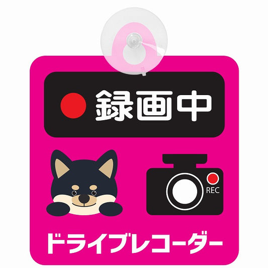 黒柴 録画中 ドライブレコーダー ピンク 車用吸盤付サイン 12.4x14.6cm 表示プレート