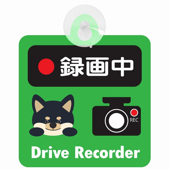 黒柴 録画中 Drive Recorder グリーン 車用吸盤付サイン 12.4x14.6cm 表示プレート