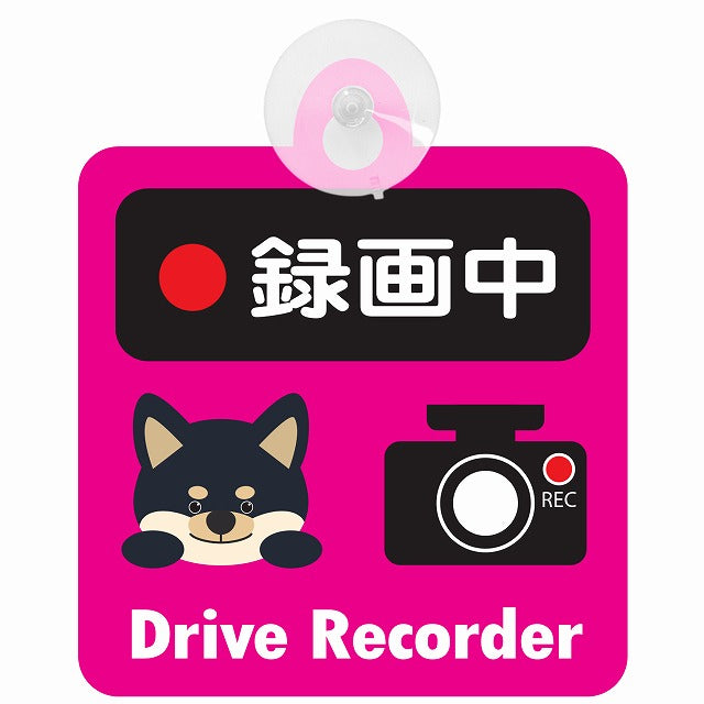 黒柴 録画中 Drive Recorder ピンク 車用吸盤付サイン 12.4x14.6cm 表示プレート
