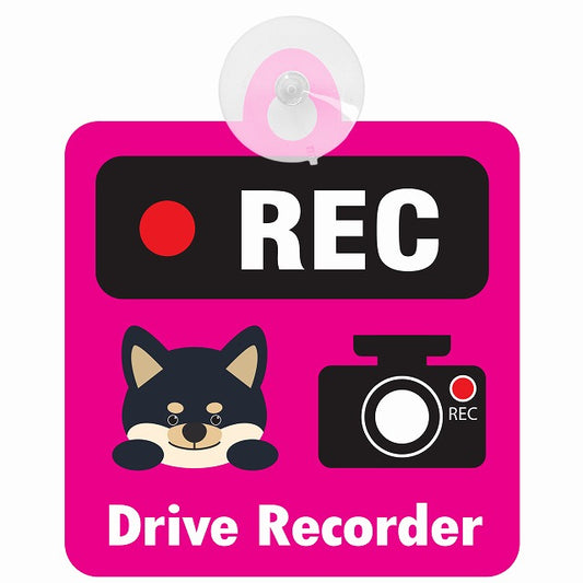 黒柴 REC Drive Recorder ピンク 車用吸盤付サイン 12.4x14.6cm 表示プレート