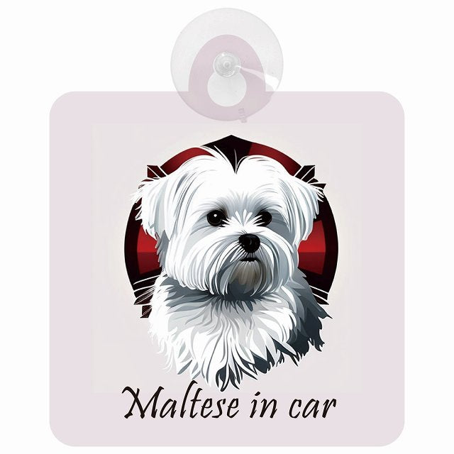 Maltese マルチーズ Bタイプ イラスト付 DOG IN CAR 車用吸盤付サイン 12.4x14.6cm