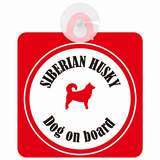 Siberian Husky シベリアンハスキー ホワイト＆レッド DOG IN CAR カラフル 車用吸盤付サイン 12.4x14.6cm