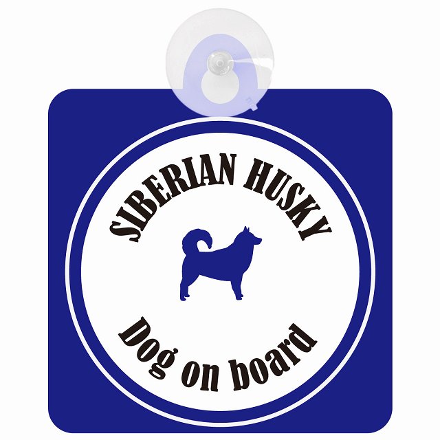 Siberian Husky シベリアンハスキー ホワイト＆ネイビー DOG IN CAR カラフル 車用吸盤付サイン 12.4x14.6cm
