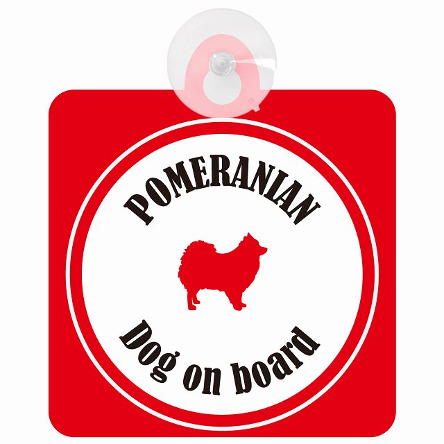 Pomeranian ポメラニアン ホワイト＆レッド DOG IN CAR カラフル 車用吸盤付サイン 12.4x14.6cm