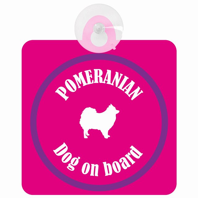 Pomeranian ポメラニアン ピンク＆パープル DOG IN CAR カラフル 車用吸盤付サイン 12.4x14.6cm