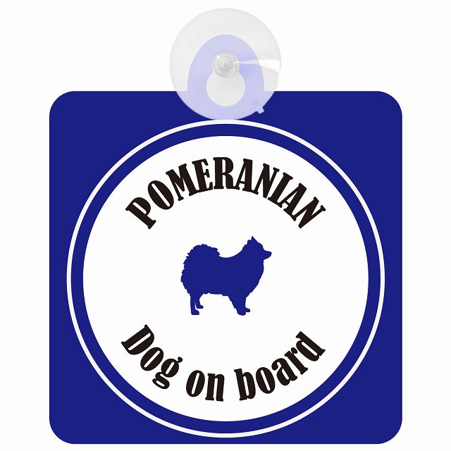 Pomeranian ポメラニアン ホワイト＆ネイビー DOG IN CAR カラフル 車用吸盤付サイン 12.4x14.6cm