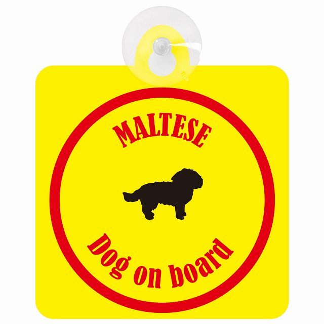 Maltese マルチーズ イエロー＆レッド DOG IN CAR カラフル 車用吸盤付サイン 12.4x14.6cm