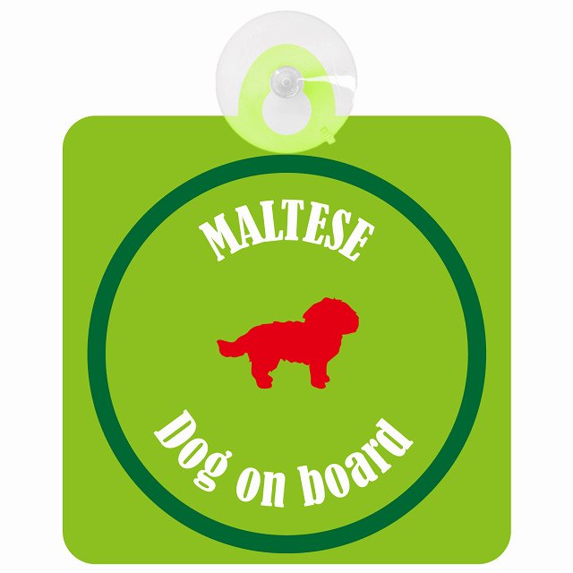Maltese マルチーズ ライトグリーン＆グリーン DOG IN CAR カラフル 車用吸盤付サイン 12.4x14.6cm