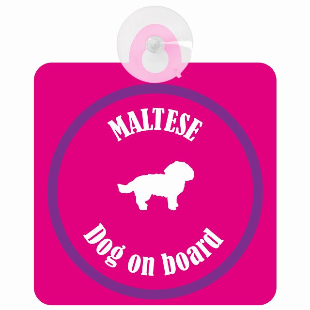 Maltese マルチーズ ピンク＆パープル DOG IN CAR カラフル 車用吸盤付サイン 12.4x14.6cm