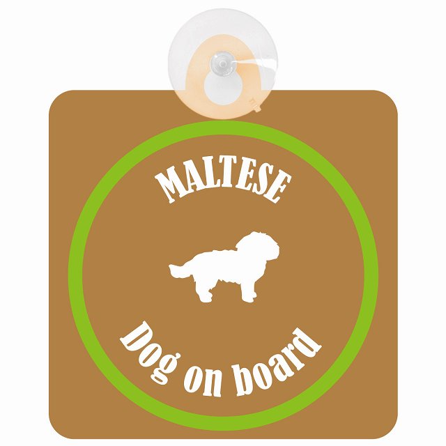 Maltese マルチーズ ブラウン＆グリーン DOG IN CAR カラフル 車用吸盤付サイン 12.4x14.6cm