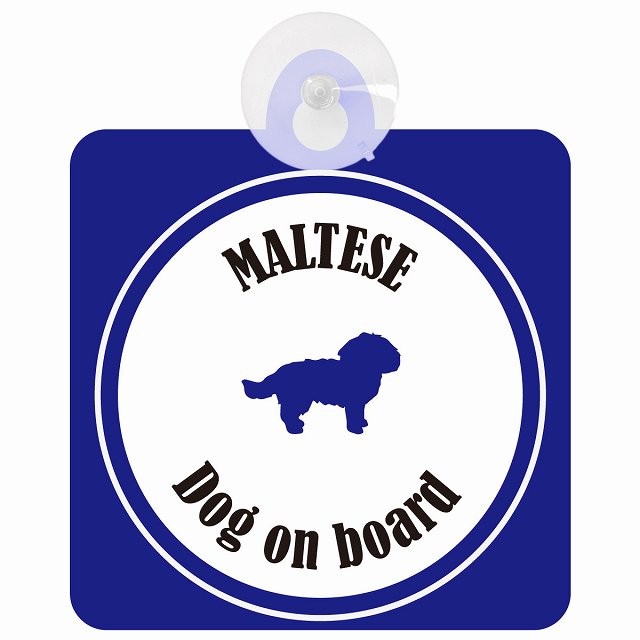 Maltese マルチーズ ホワイト＆ネイビー DOG IN CAR カラフル 車用吸盤付サイン 12.4x14.6cm