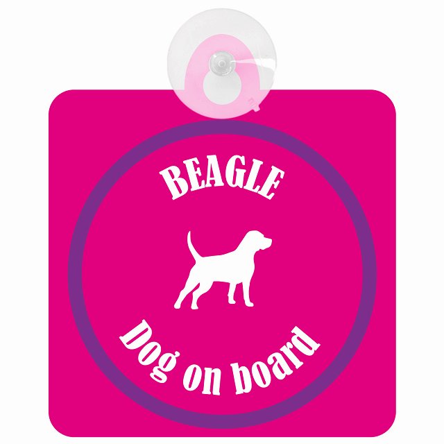 Beagle ビーグル ピンク＆パープル DOG IN CAR カラフル 車用吸盤付サイン 12.4x14.6cm