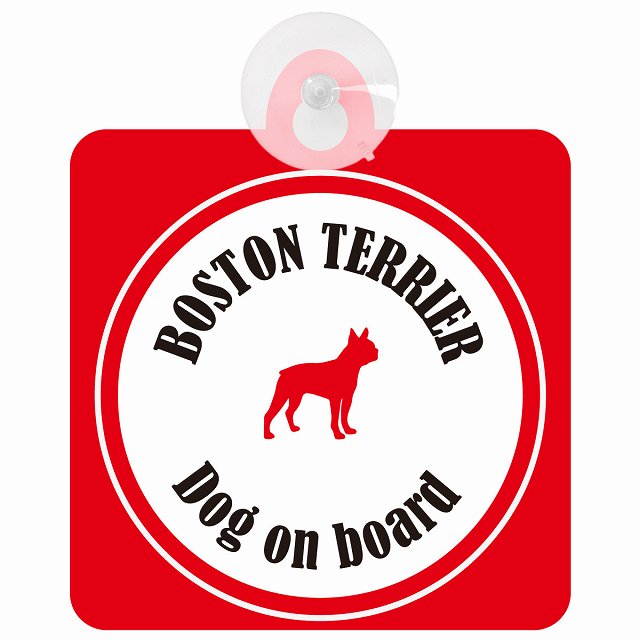 Boston Terrier ボストンテリア ホワイト＆レッド DOG IN CAR カラフル 車用吸盤付サイン 12.4x14.6cm