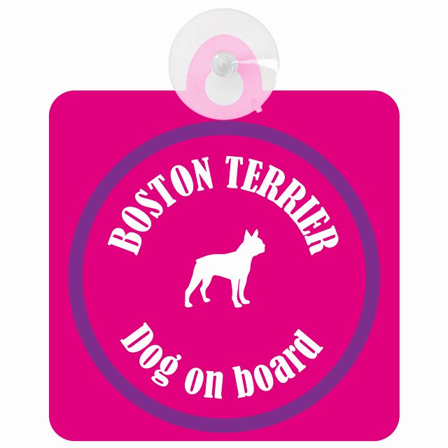 Boston Terrier ボストンテリア ピンク＆パープル DOG IN CAR カラフル 車用吸盤付サイン 12.4x14.6cm