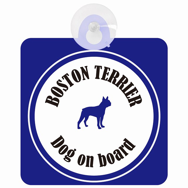 Boston Terrier ボストンテリア ホワイト＆ネイビー DOG IN CAR カラフル 車用吸盤付サイン 12.4x14.6cm
