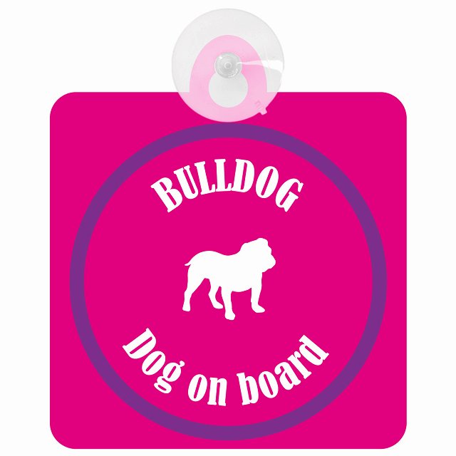 Bulldog ブルドッグ ピンク＆パープル DOG IN CAR カラフル 車用吸盤付サイン 12.4x14.6cm