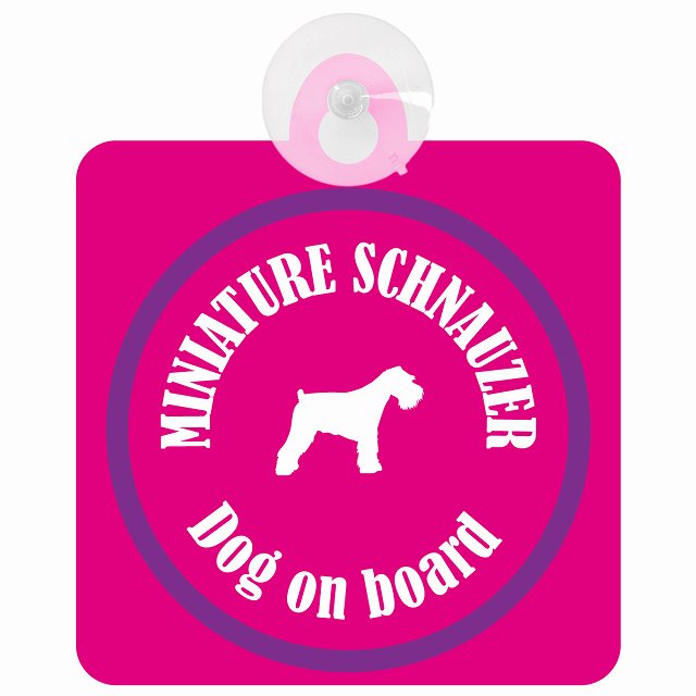 Miniature Schnauzer ミニチュアシュナウザー ピンク＆パープル DOG IN CAR カラフル 車用吸盤付サイン 12.4x14.6cm