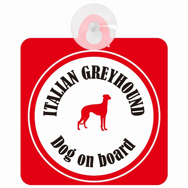 Itallan Greyhound イタリアングレーハウンド ホワイト＆レッド DOG IN CAR カラフル 車用吸盤付サイン 12.4x14.6cm