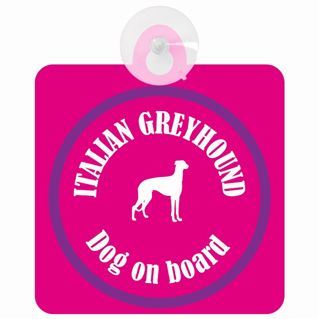 Itallan Greyhound イタリアングレーハウンド ピンク＆パープル DOG IN CAR カラフル 車用吸盤付サイン 12.4x14.6cm