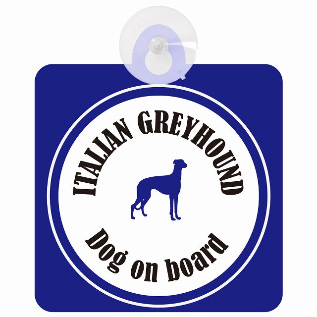 Itallan Greyhound イタリアングレーハウンド ホワイト＆ネイビー DOG IN CAR カラフル 車用吸盤付サイン 12.4x14.6cm