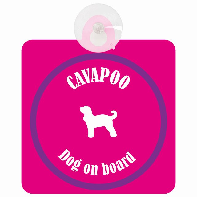 Cavapoo キャバプー ピンク＆パープル DOG IN CAR カラフル 車用吸盤付サイン 12.4x14.6cm