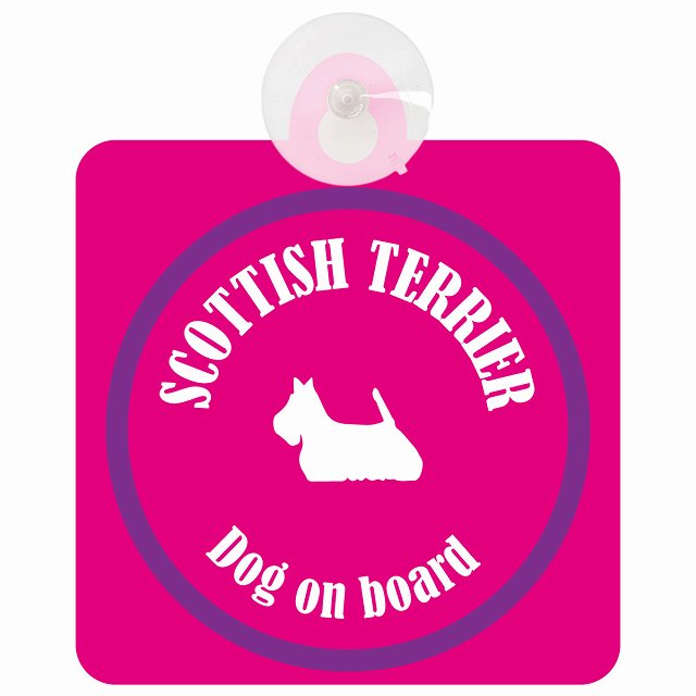 Scottish Terrier スコティッシュテリア ピンク＆パープル DOG IN CAR カラフル 車用吸盤付サイン 12.4x14.6cm
