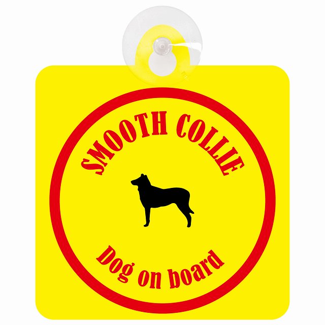 Smooth Collie スムースコリー イエロー＆レッド DOG IN CAR カラフル 車用吸盤付サイン 12.4x14.6cm