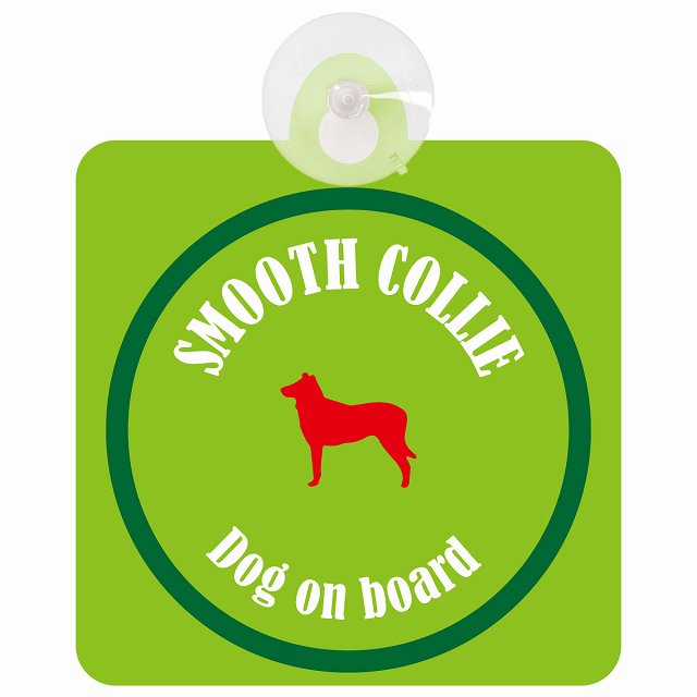 Smooth Collie スムースコリー ライトグリーン＆グリーン DOG IN CAR カラフル 車用吸盤付サイン 12.4x14.6cm